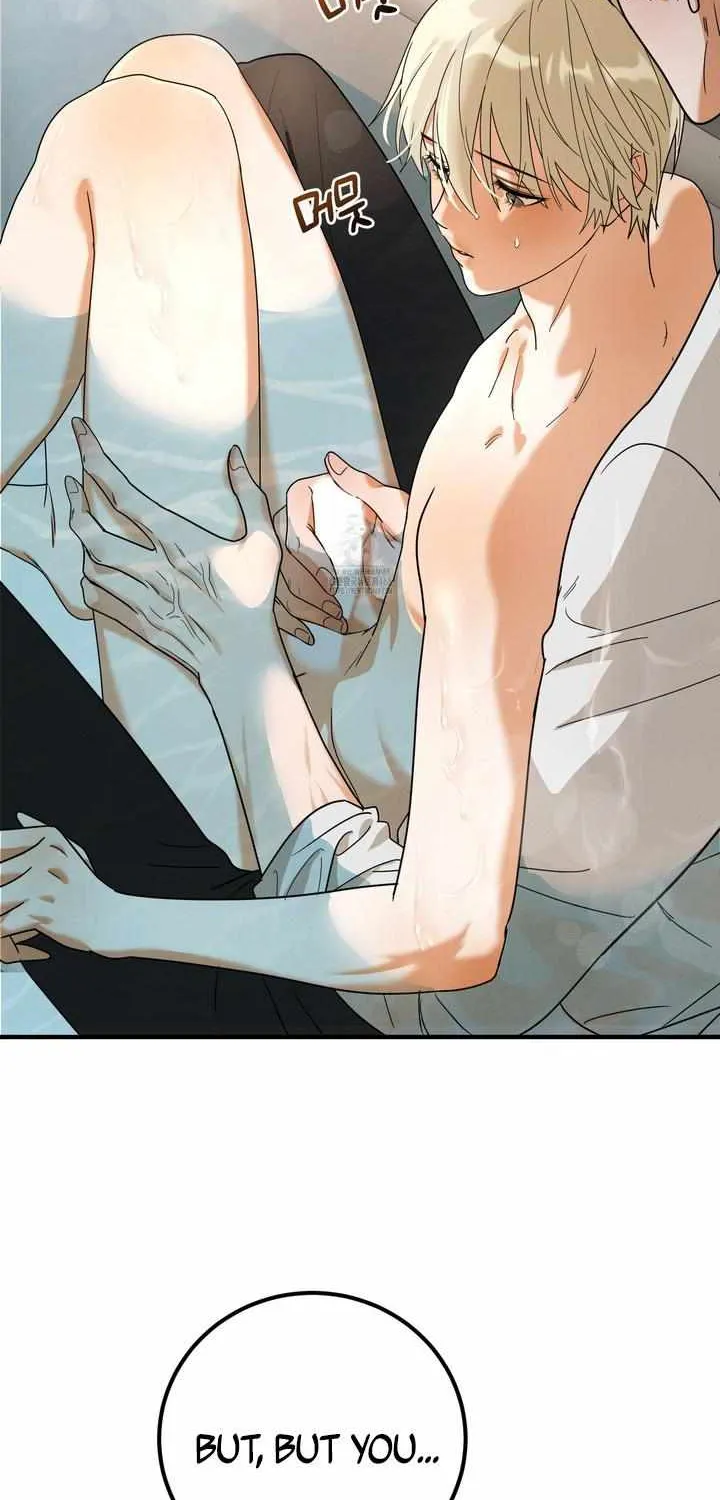 Westermarck Effect Chapter 2 page 7 - 