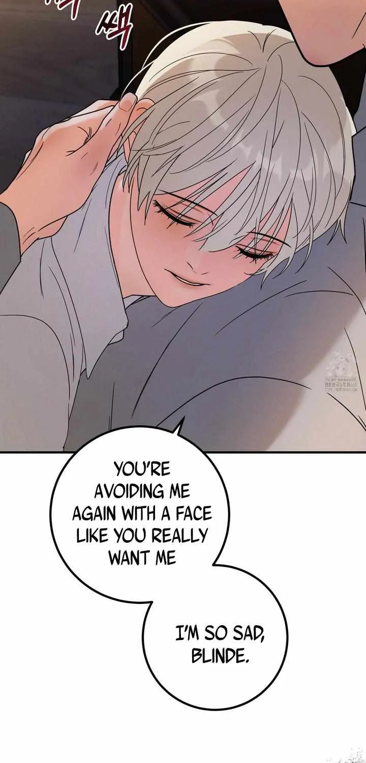Westermarck Effect Chapter 2 page 71 - 