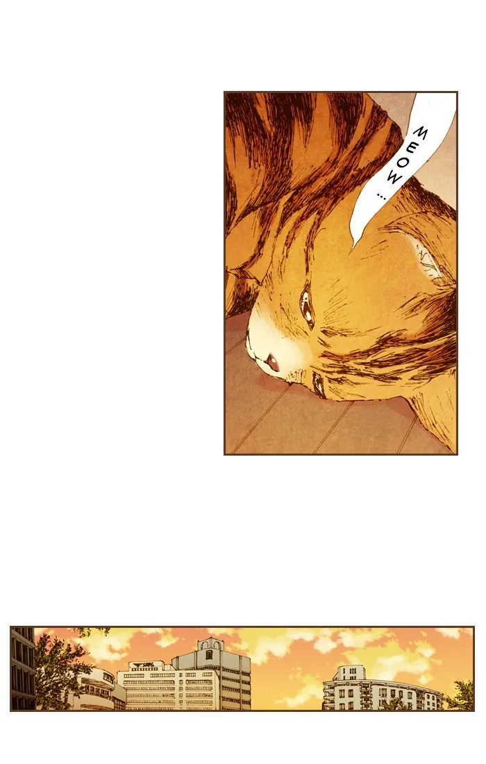 Read Westwood Vibrato chapter 24 image 19 on Lezhin