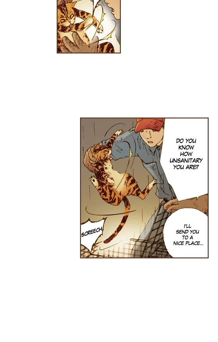Read Westwood Vibrato chapter 25 image 21 on Lezhin