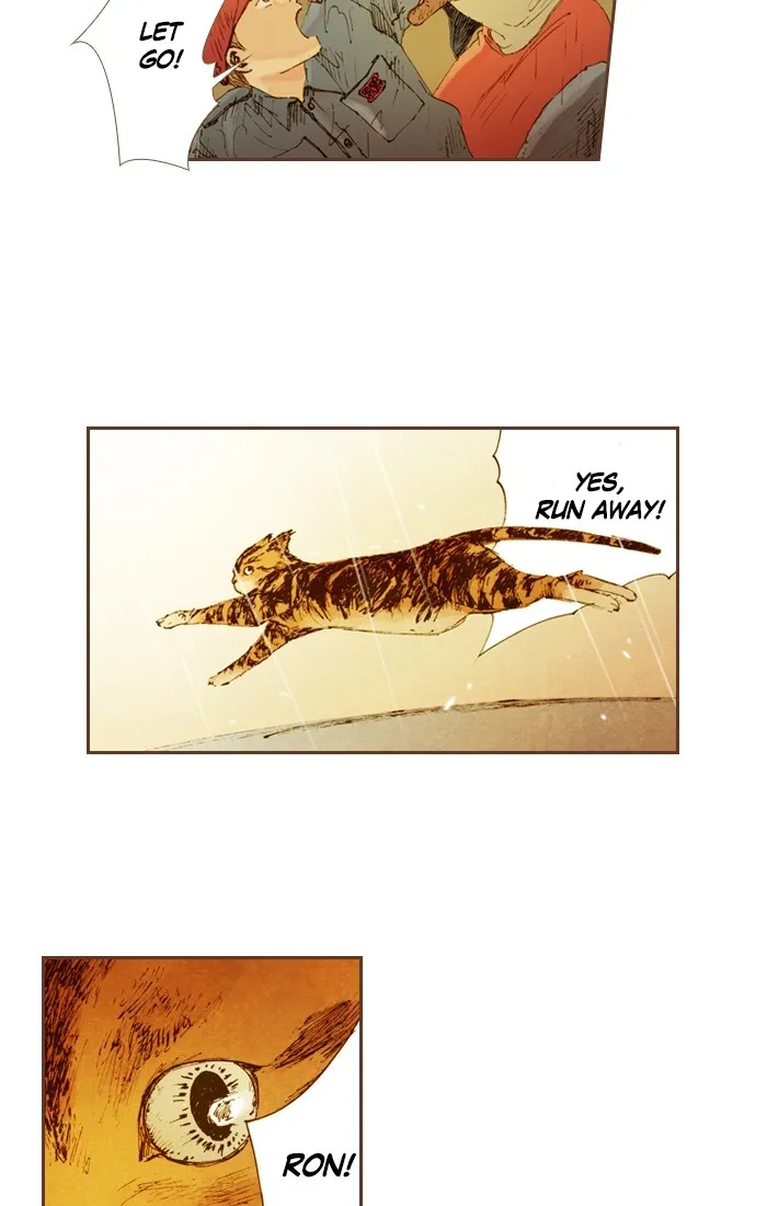Read Westwood Vibrato chapter 25 image 24 on Lezhin