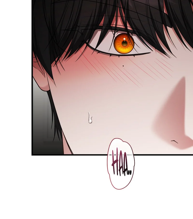 Read What A Fox! chapter 12 image 11 on Lezhin