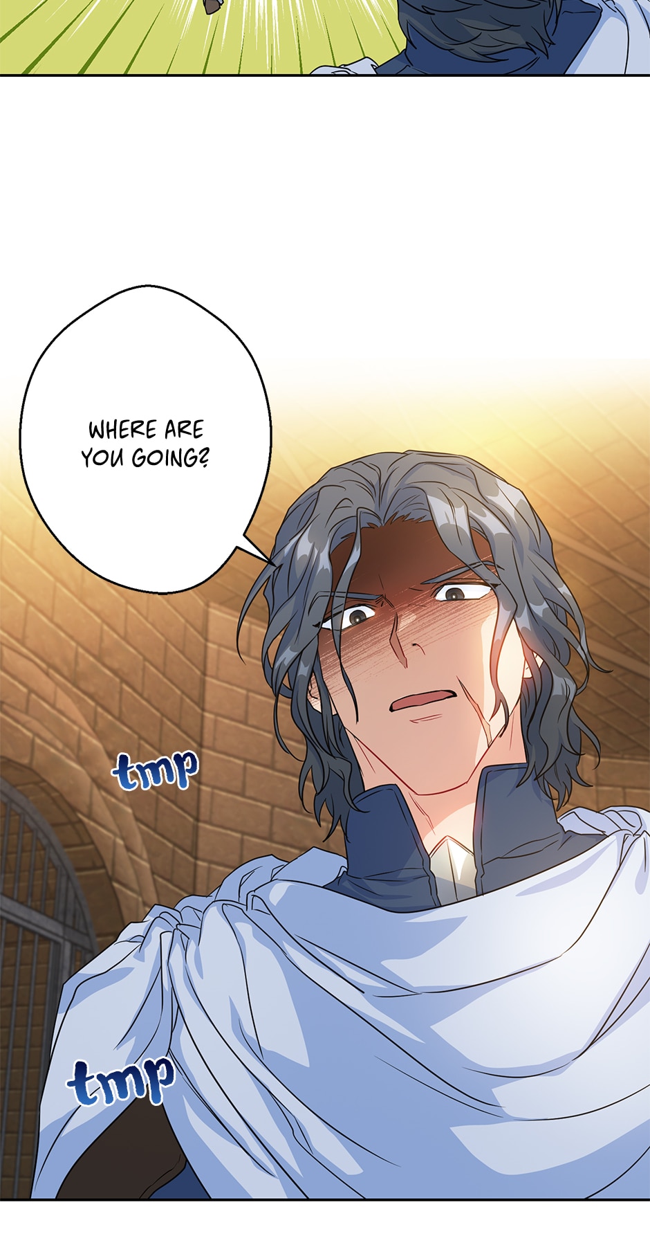 What Do You Want to Be, Prince Chapter 77 page 48 - 