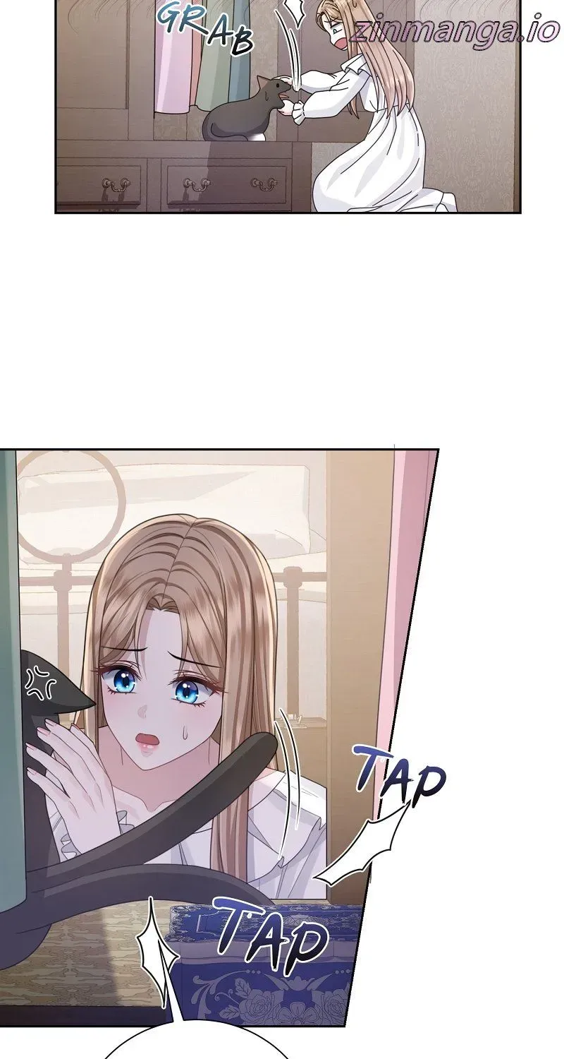 Read When Cinderella