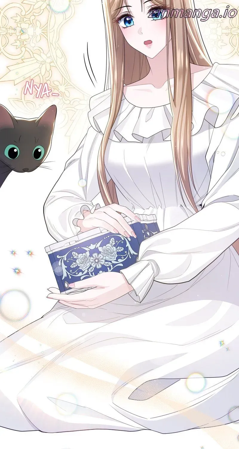Read When Cinderella