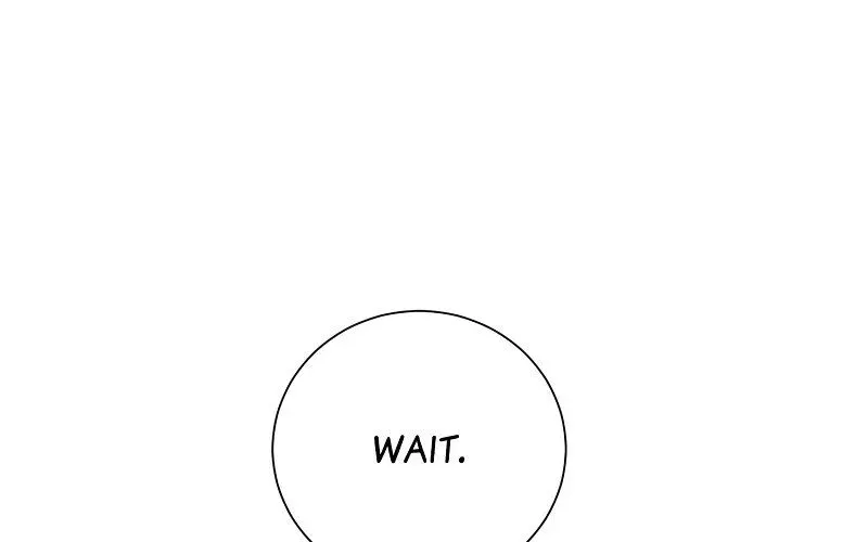 Read When Cinderella