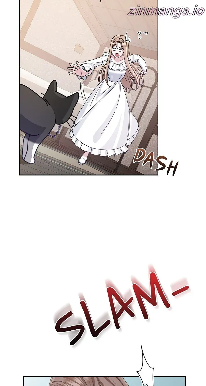 Read When Cinderella