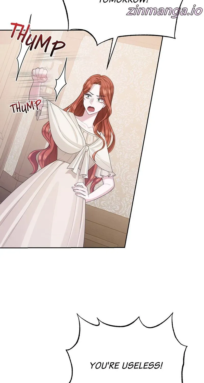 Read When Cinderella