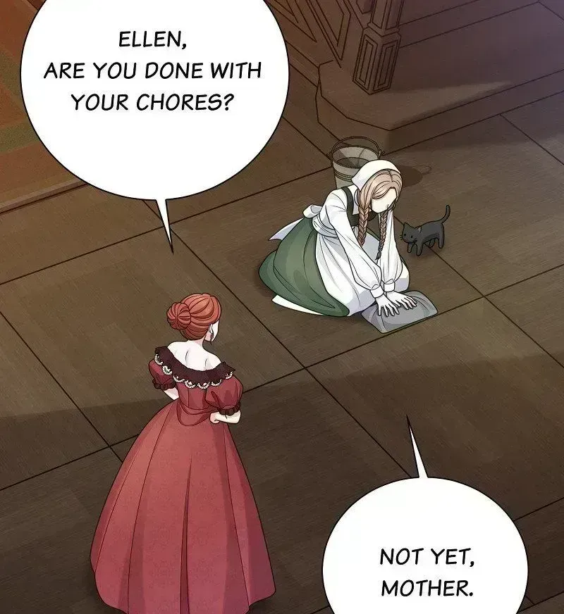 Read When Cinderella