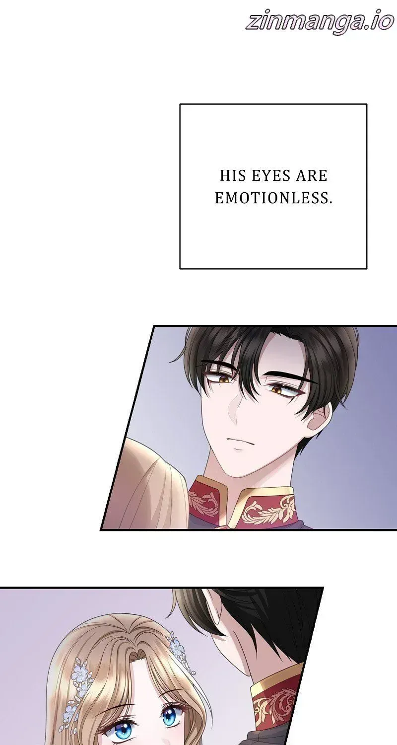 Read When Cinderella