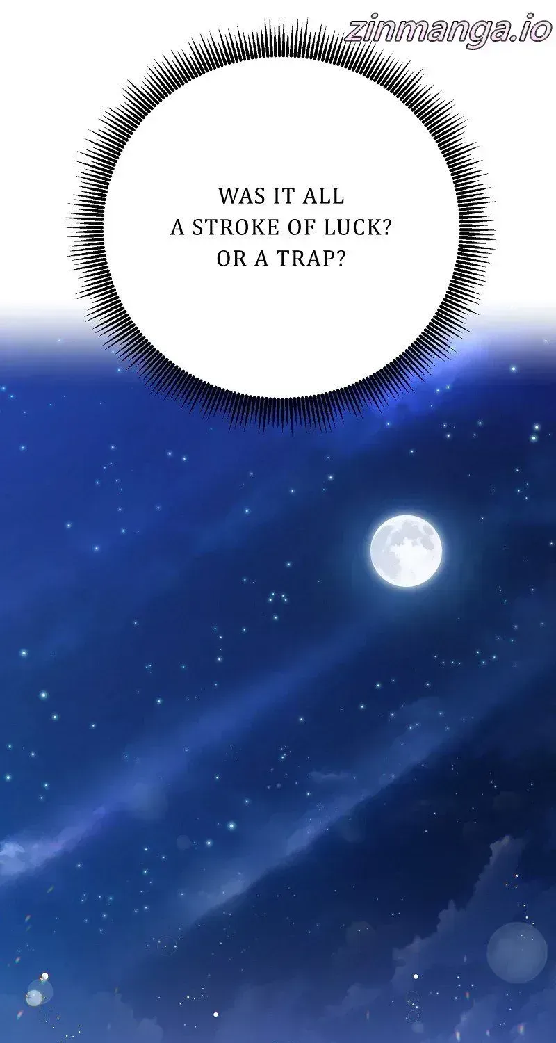 Read When Cinderella