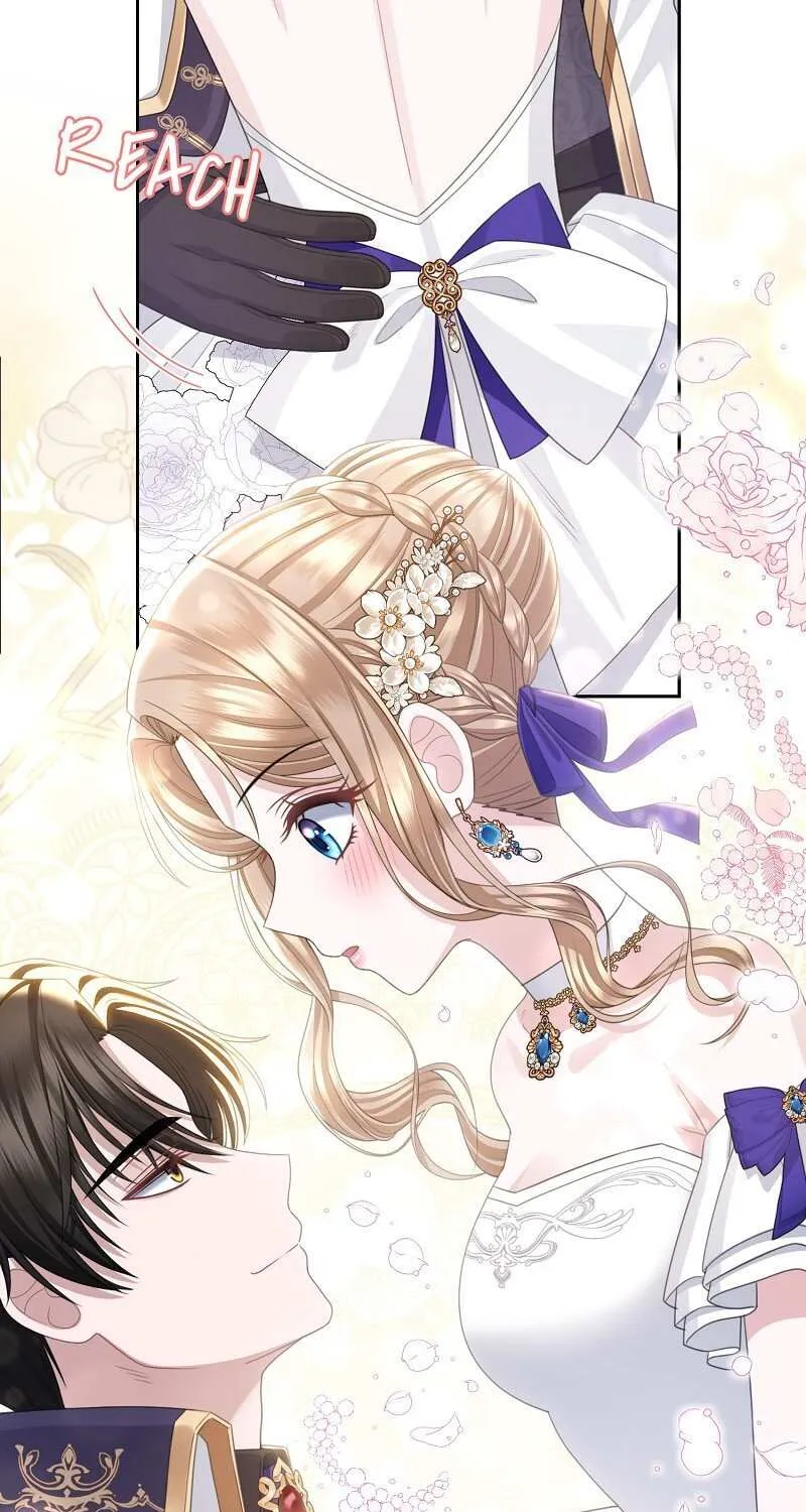 Read When Cinderella