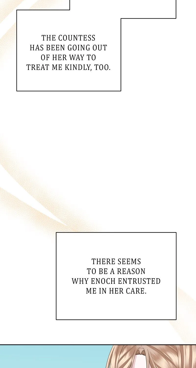 Read When Cinderella