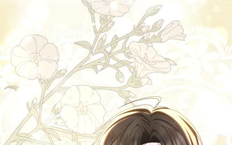 Read When Cinderella