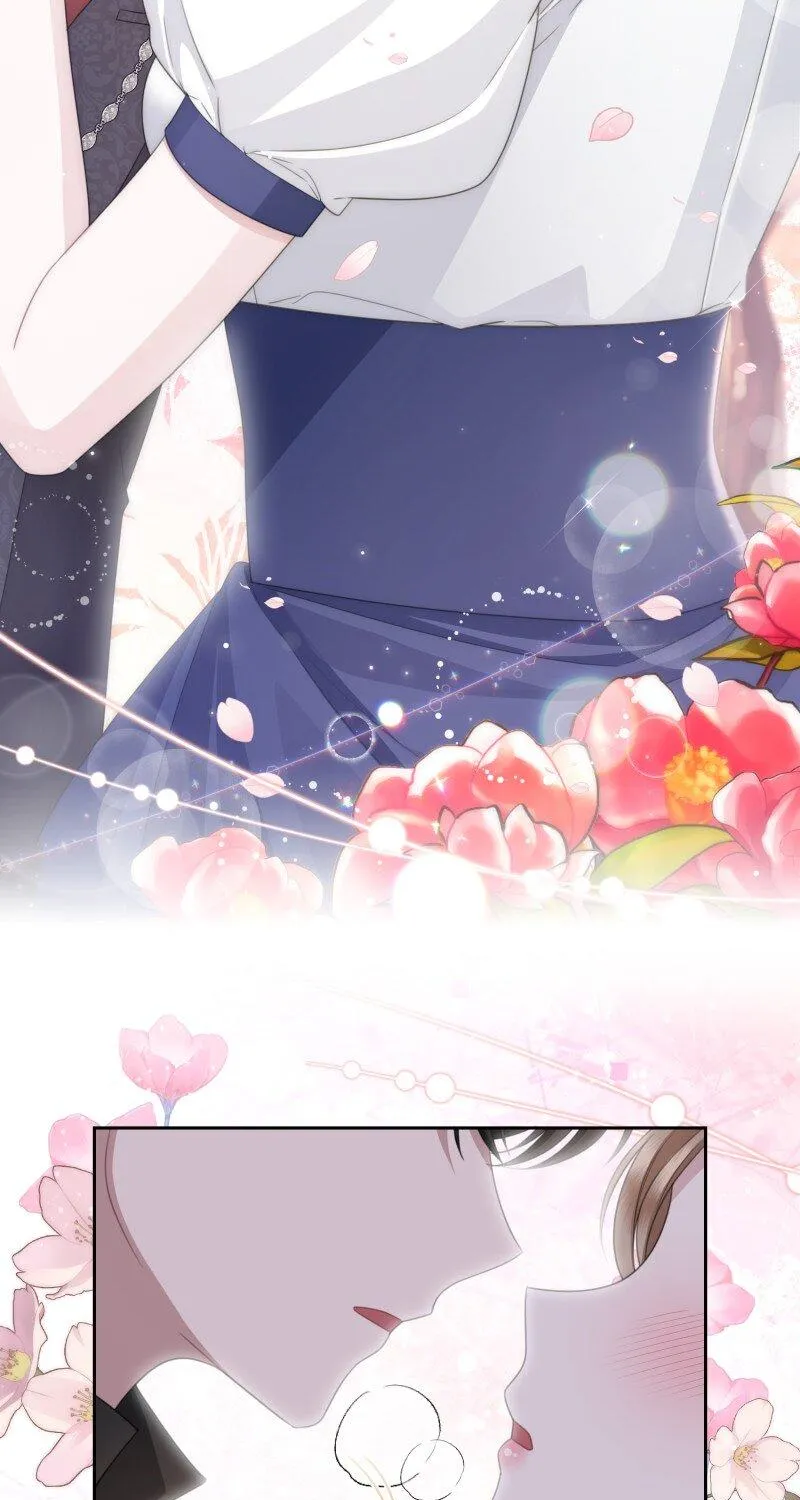 Read When Cinderella