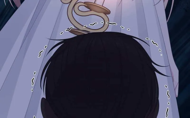 Read When Cinderella