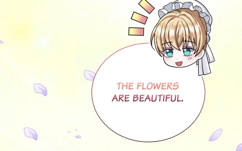 Read When Cinderella
