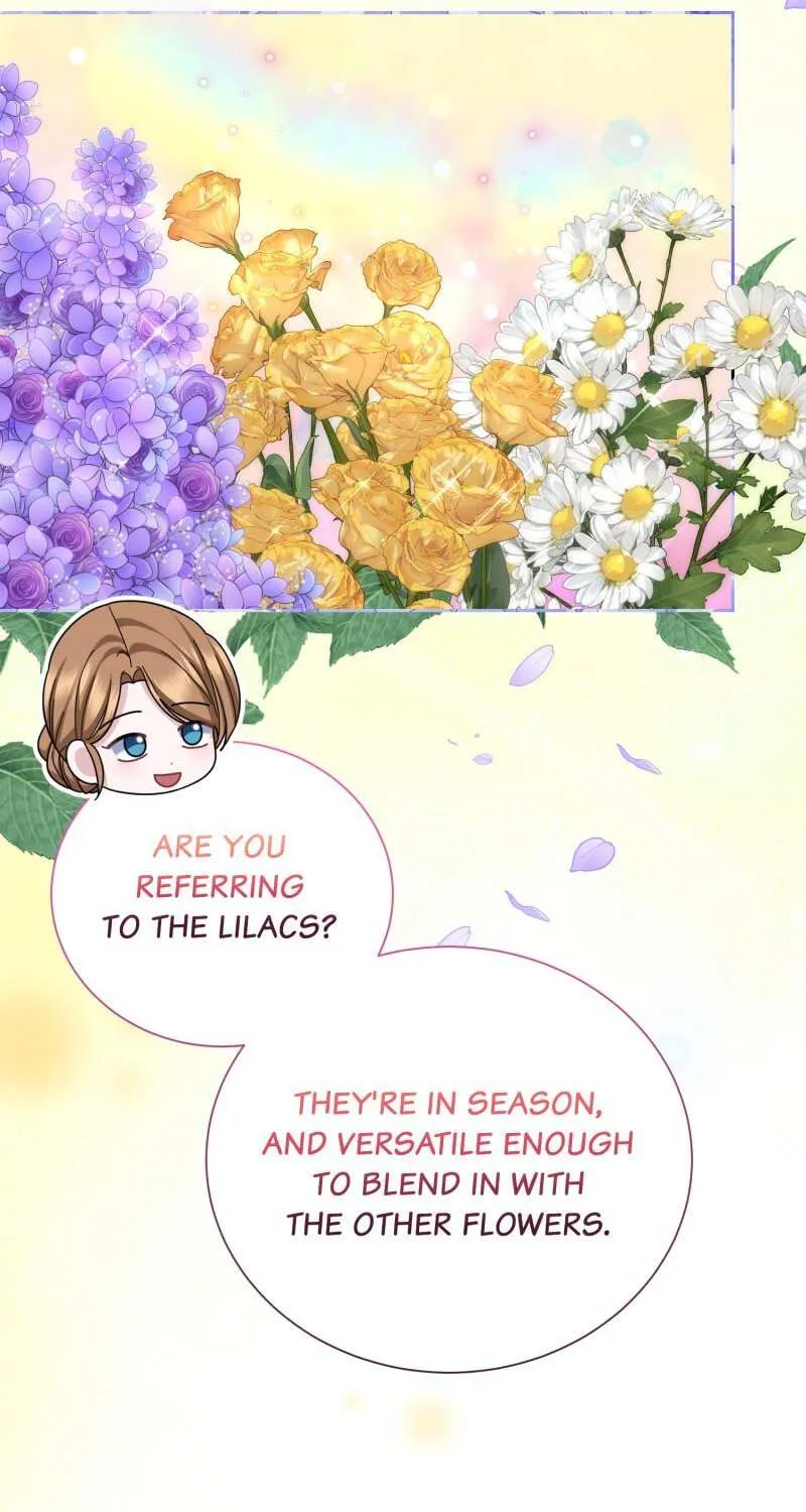 Read When Cinderella