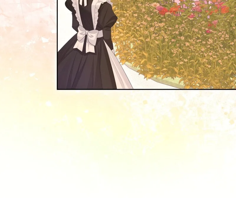 Read When Cinderella