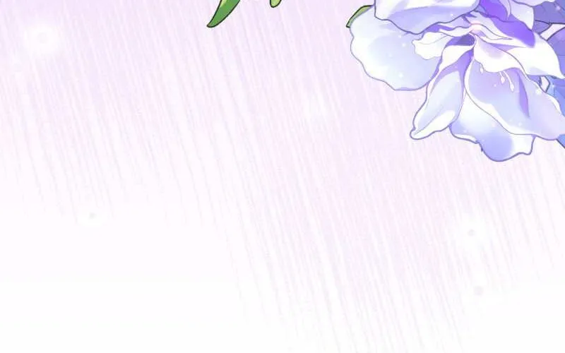 Read When Cinderella