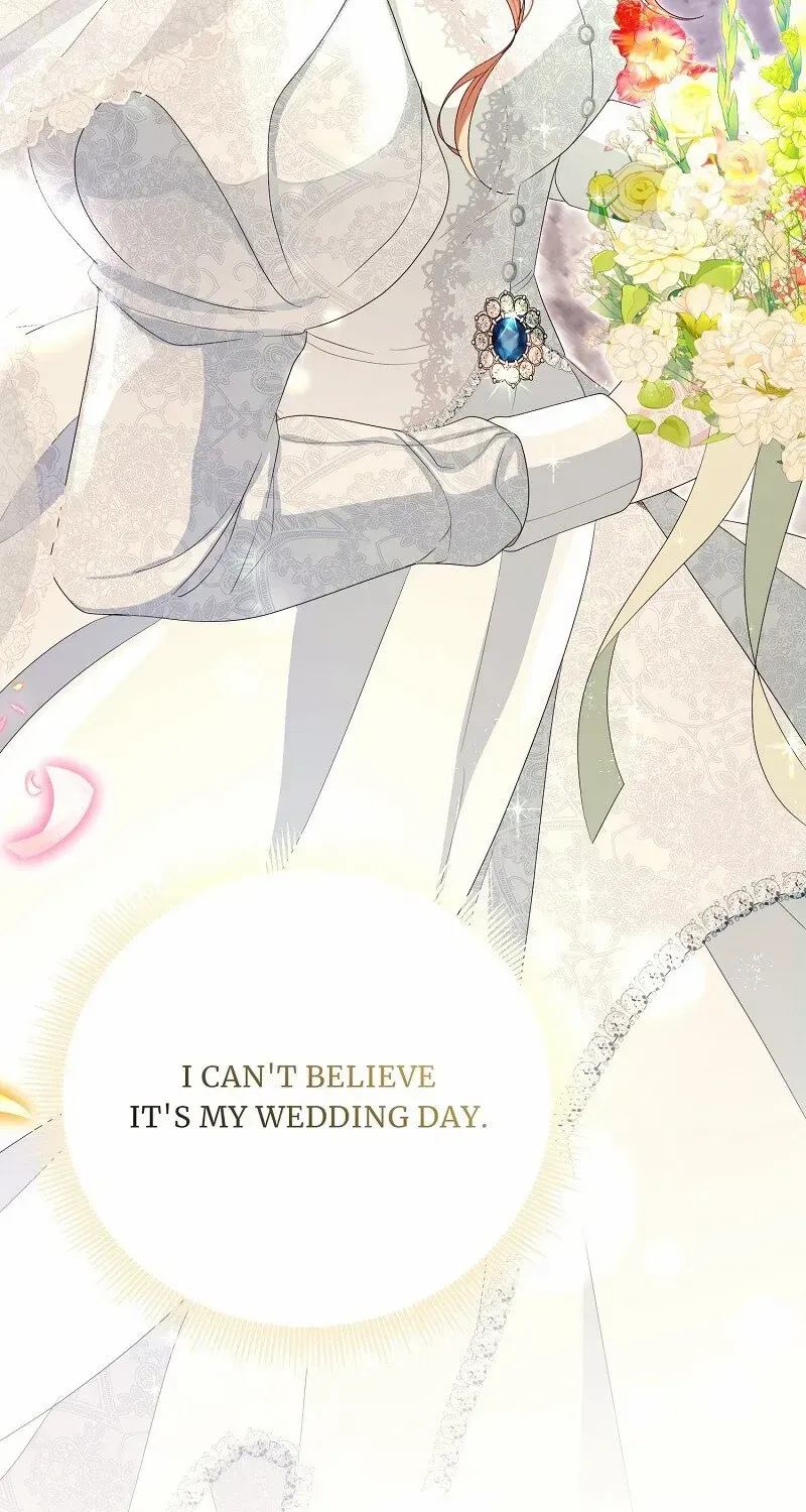 Read When Cinderella