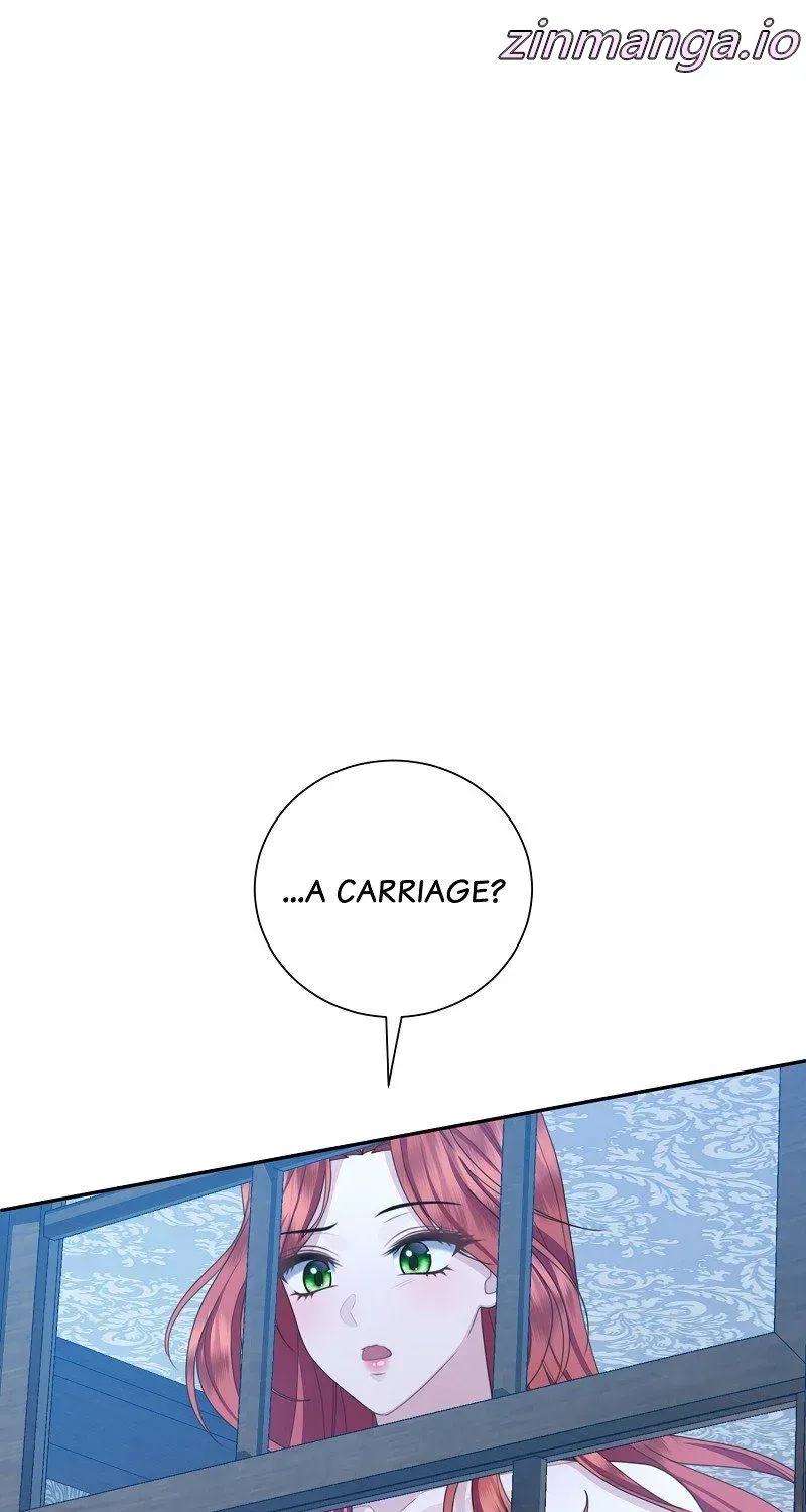 Read When Cinderella