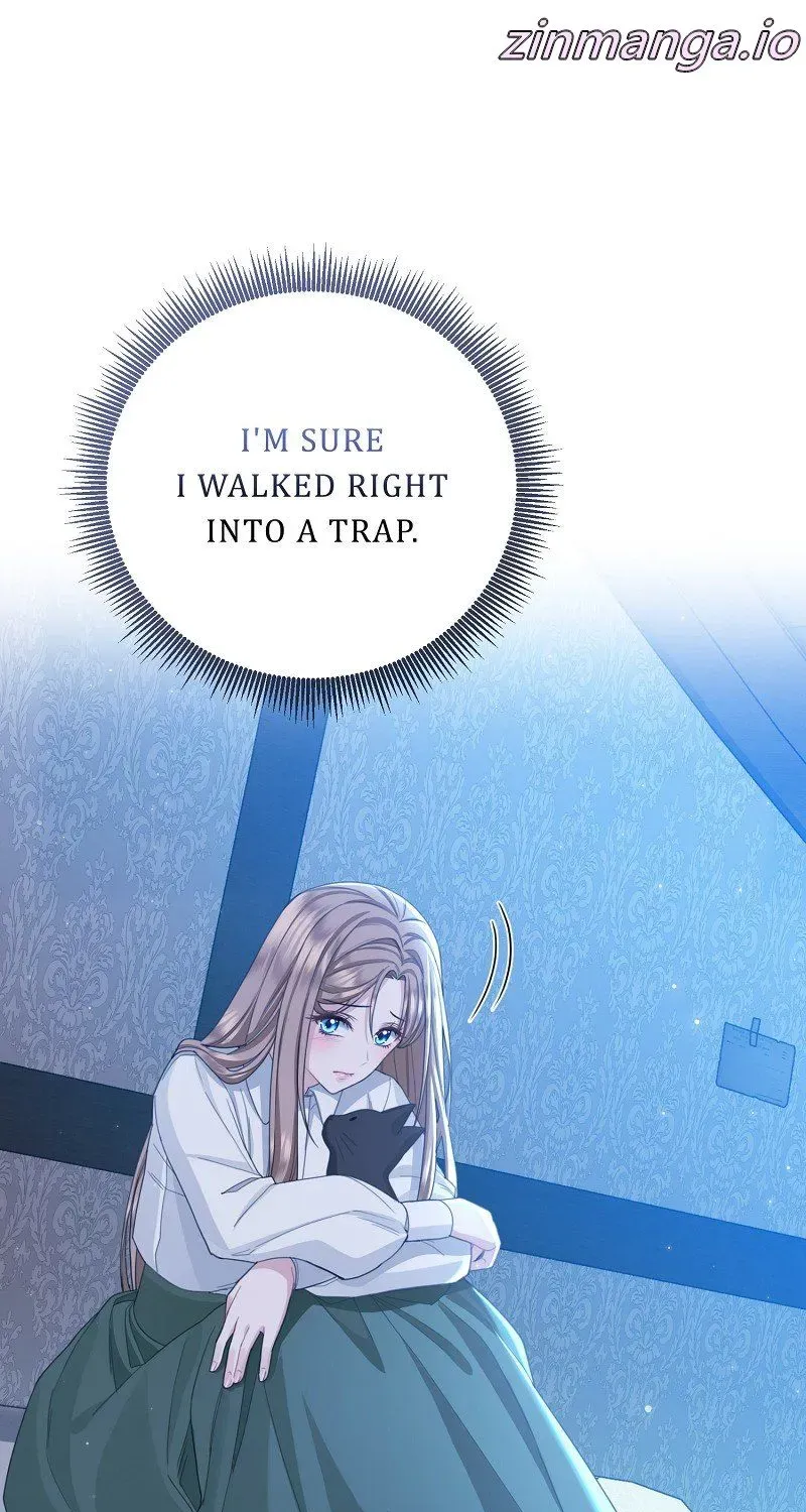 Read When Cinderella