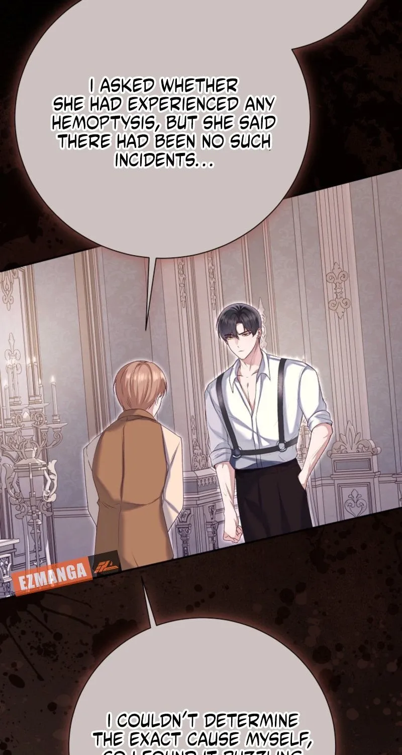 Read When Cinderella