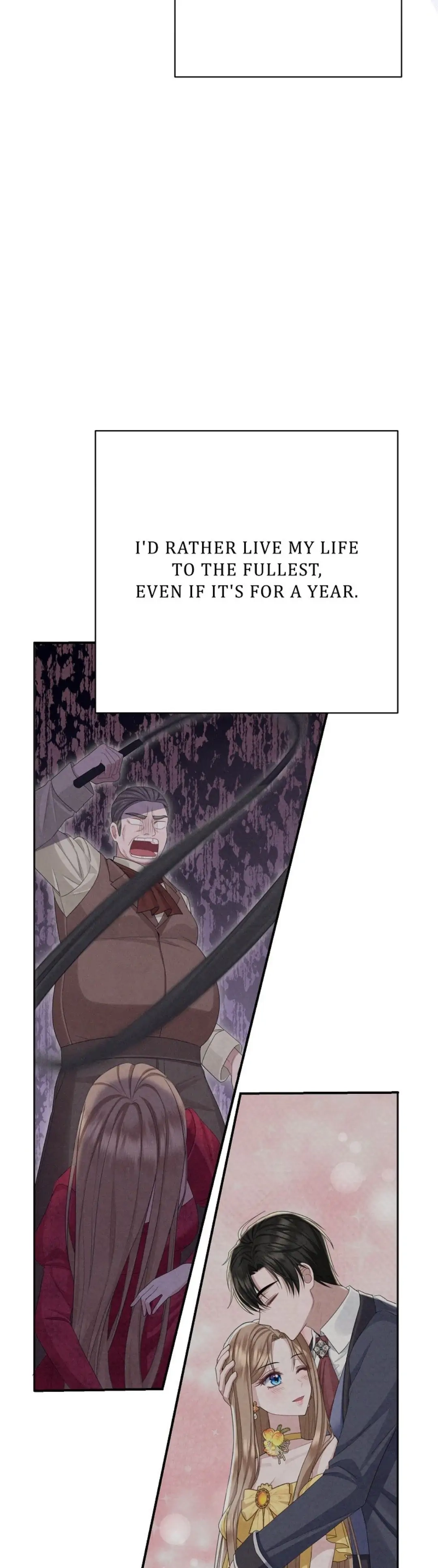 Read When Cinderella