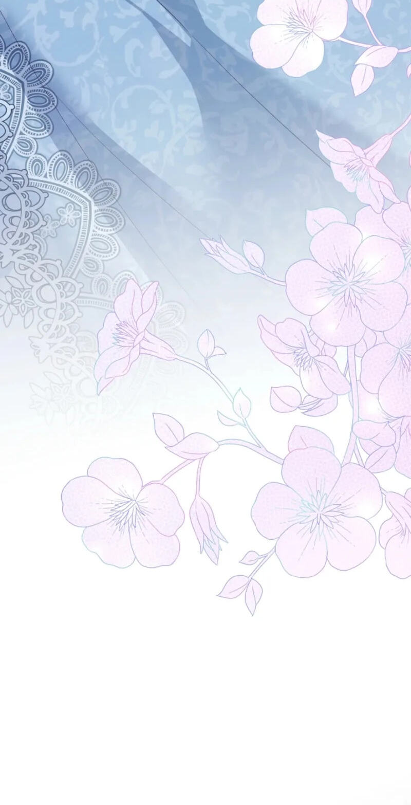 Read When Cinderella