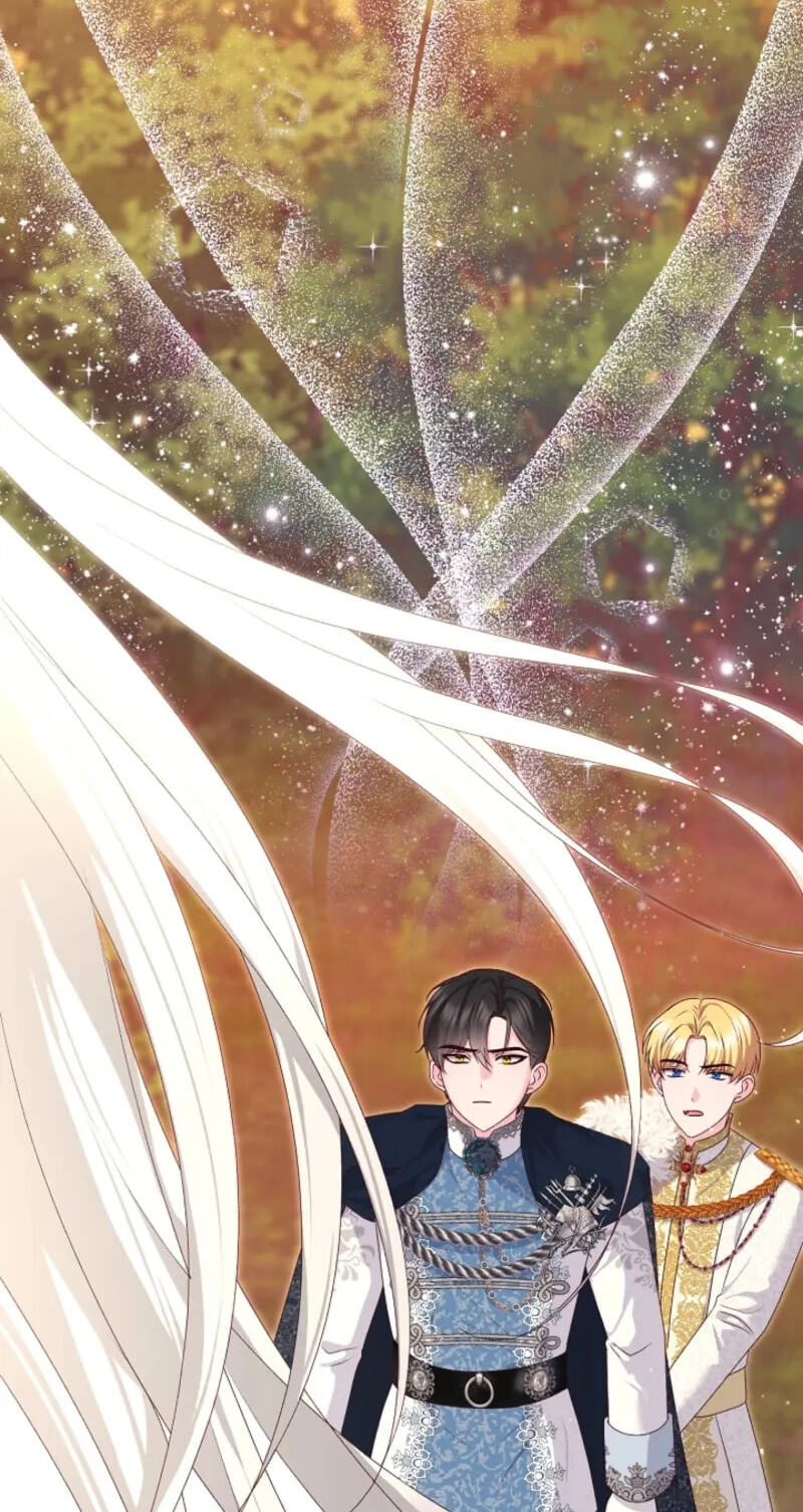 Read When Cinderella