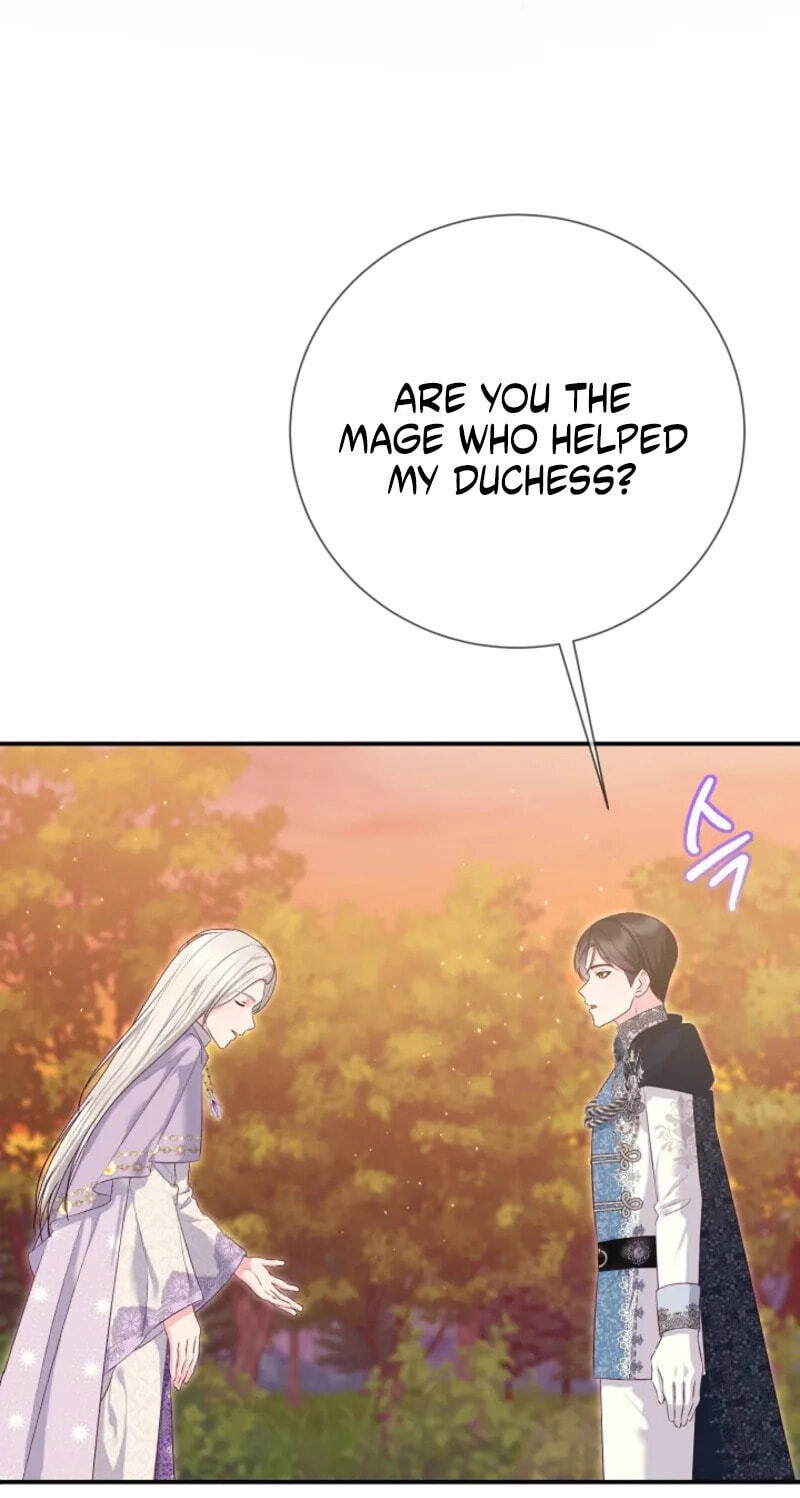 Read When Cinderella