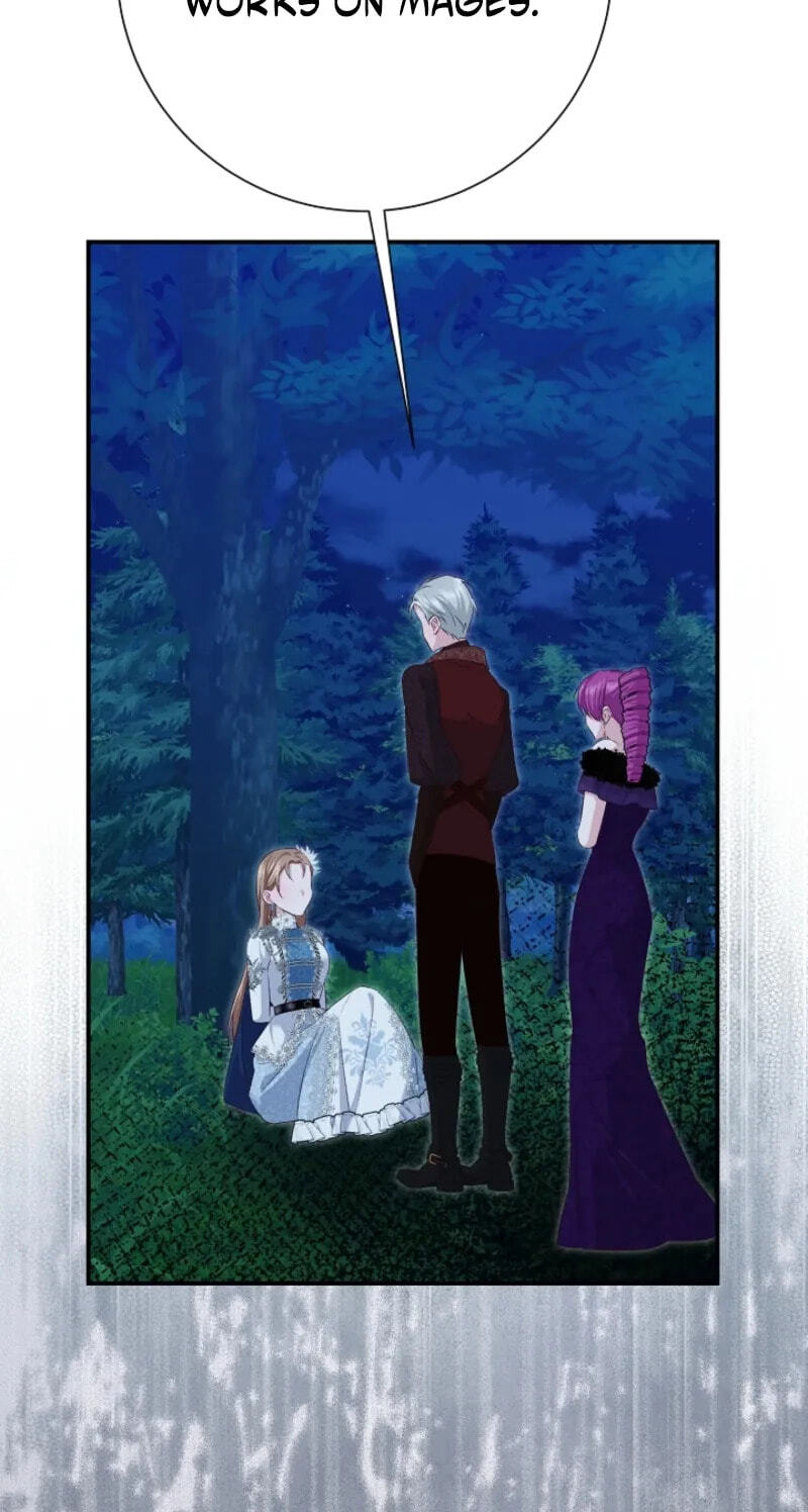 Read When Cinderella