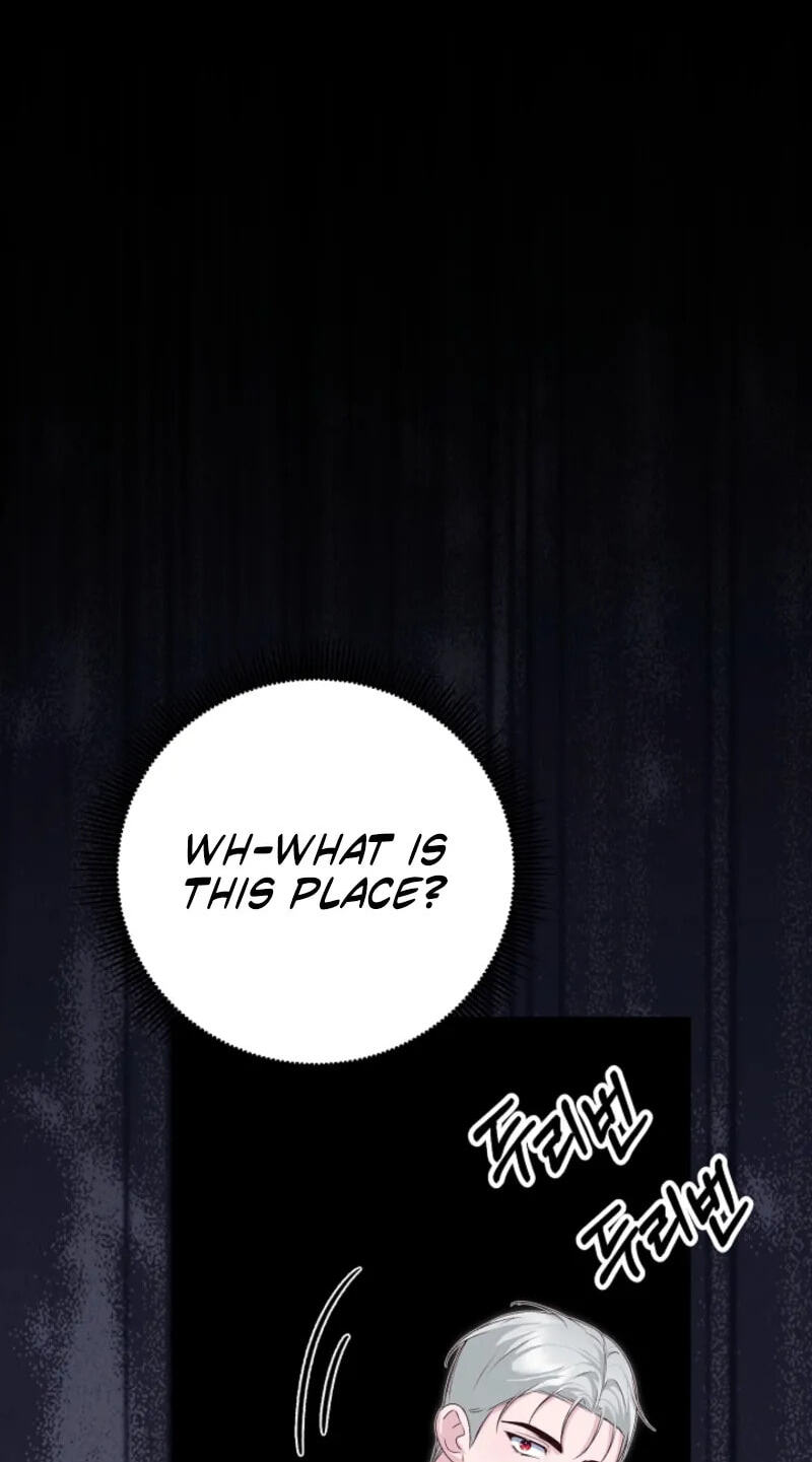 Read When Cinderella
