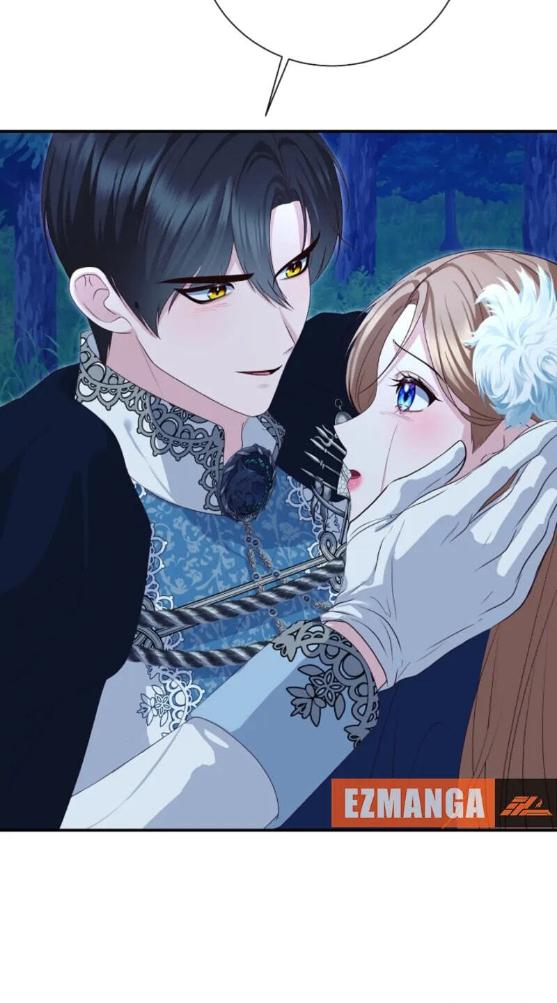 Read When Cinderella
