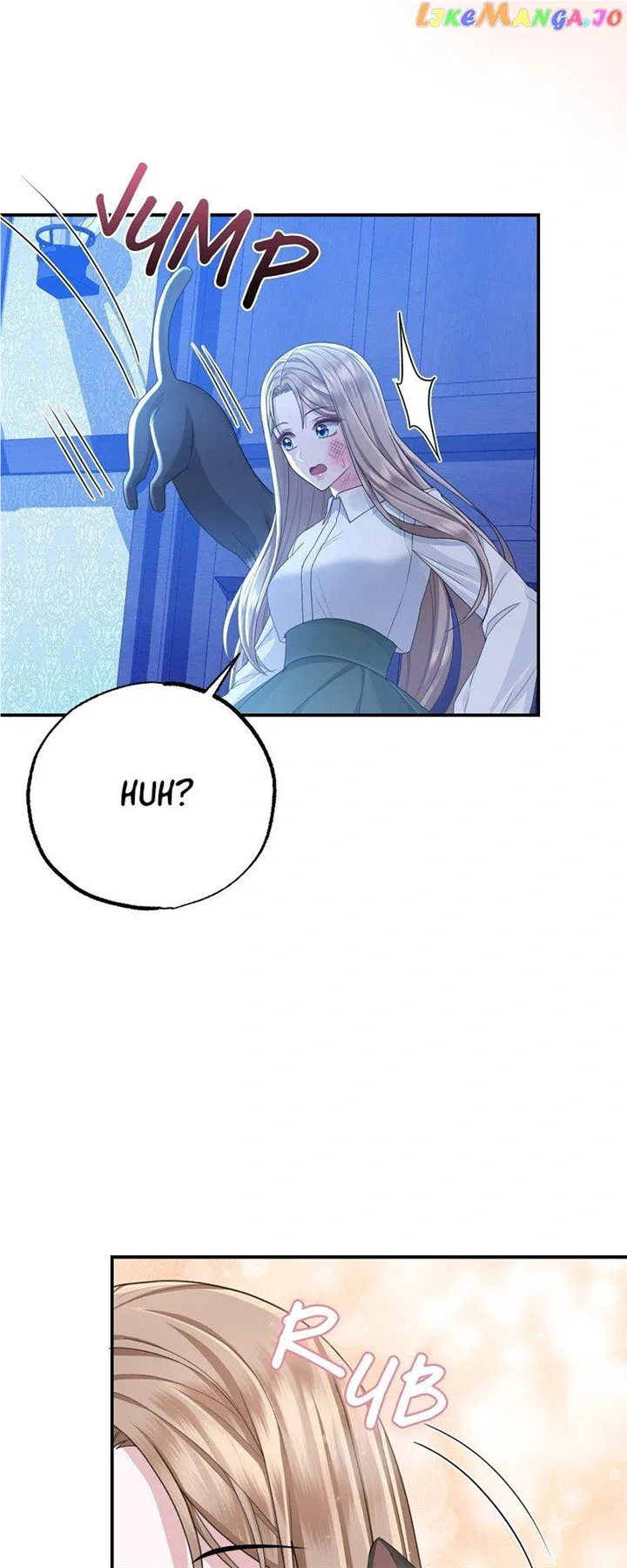 Read When Cinderella