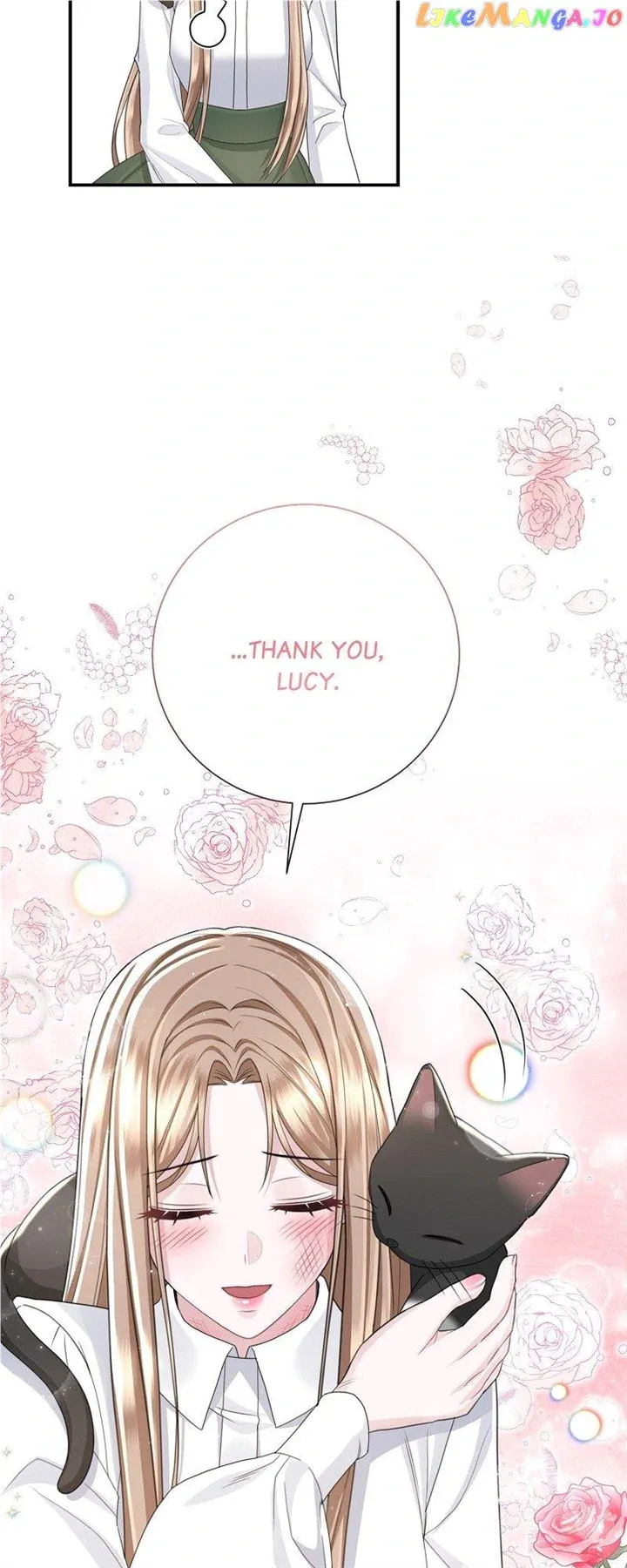 Read When Cinderella
