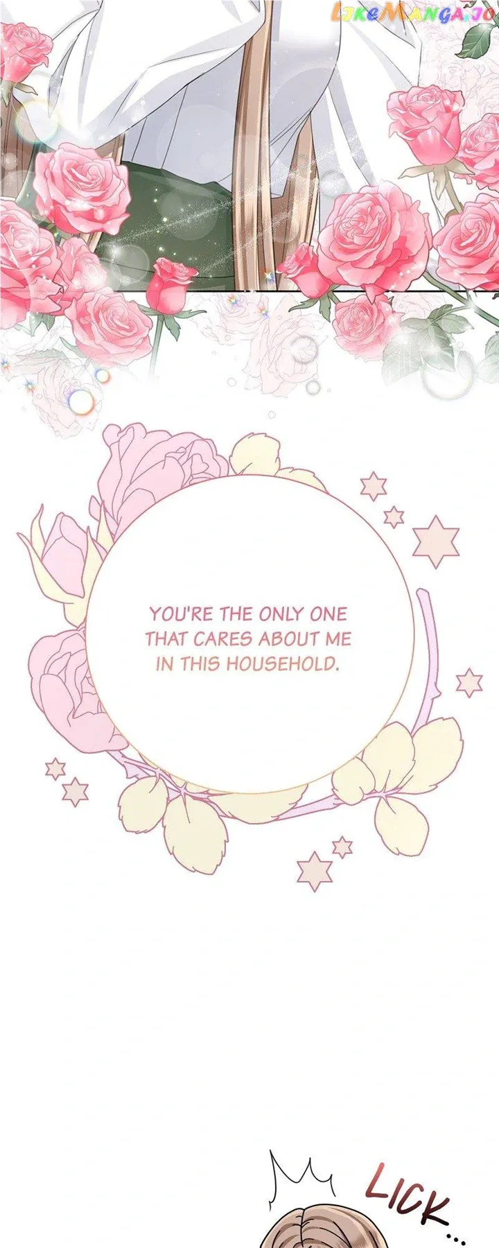 Read When Cinderella