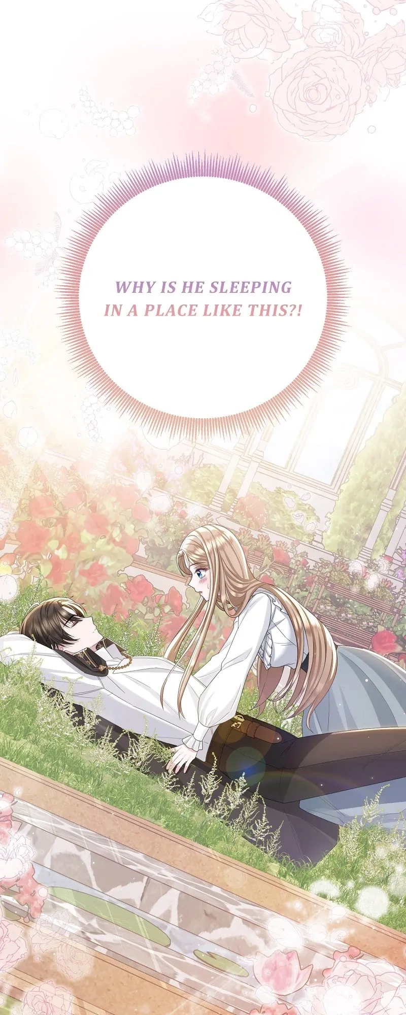 Read When Cinderella