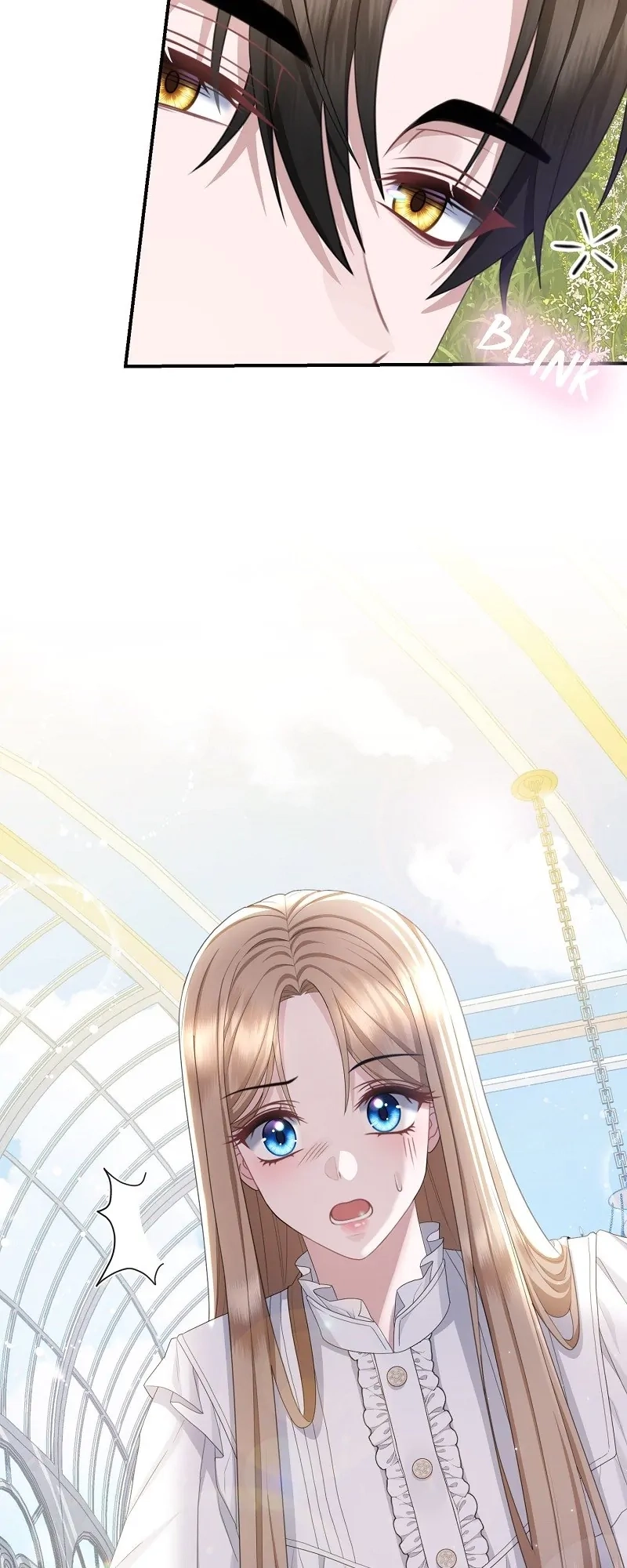 Read When Cinderella