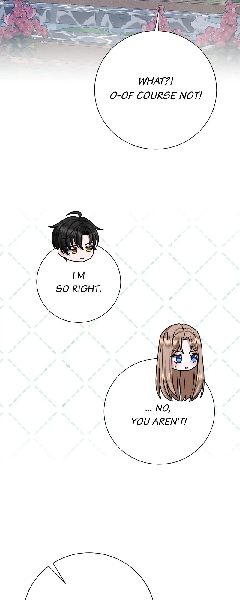 Read When Cinderella