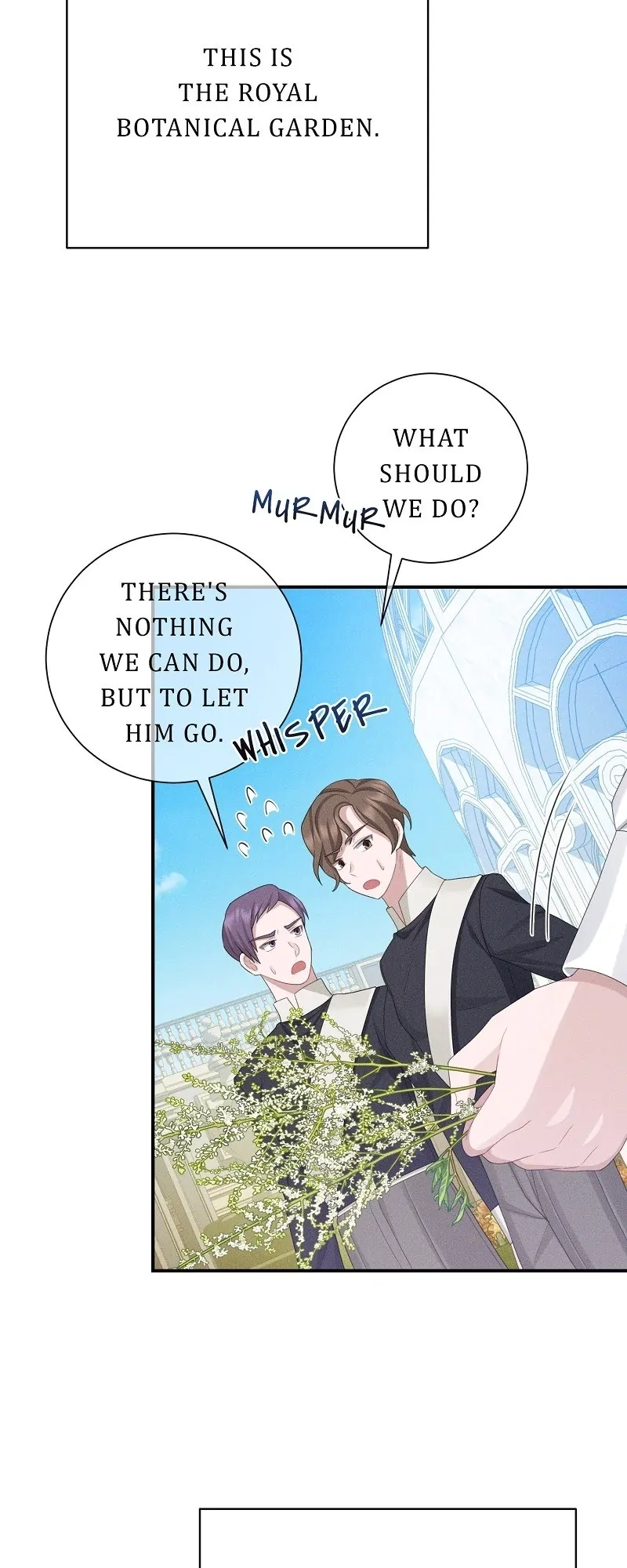 Read When Cinderella