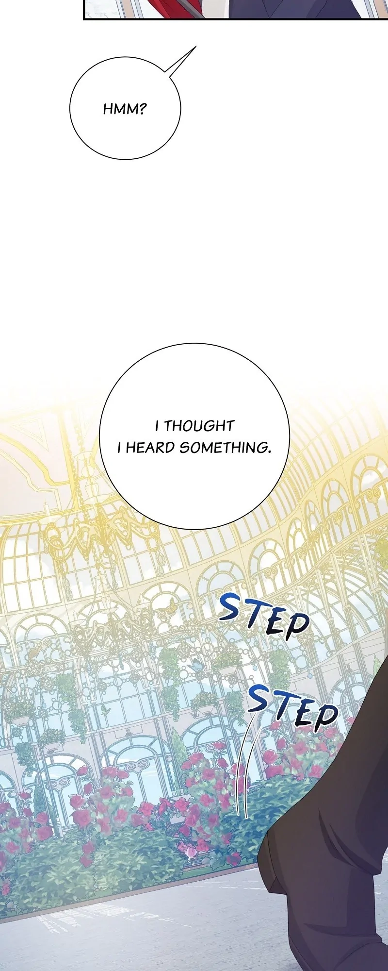 Read When Cinderella
