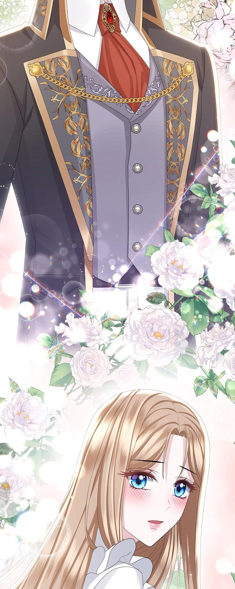 Read When Cinderella