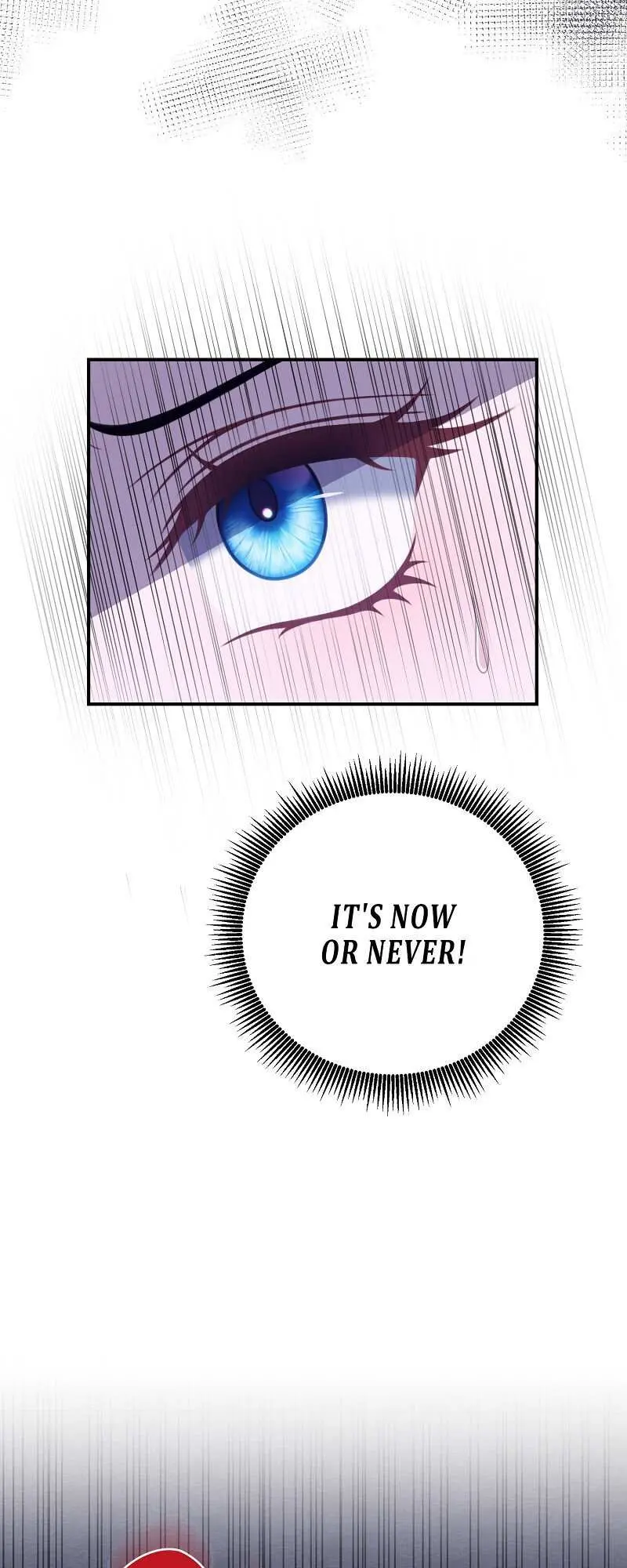 Read When Cinderella