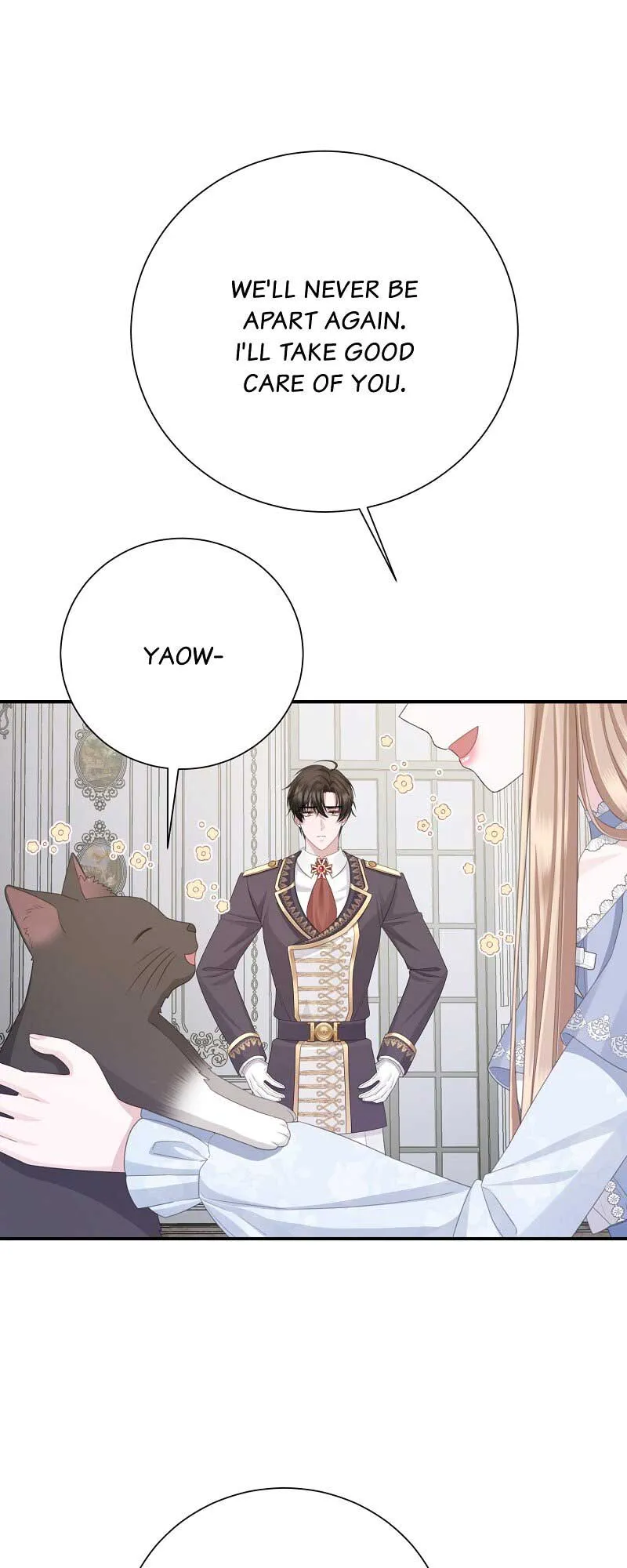 Read When Cinderella