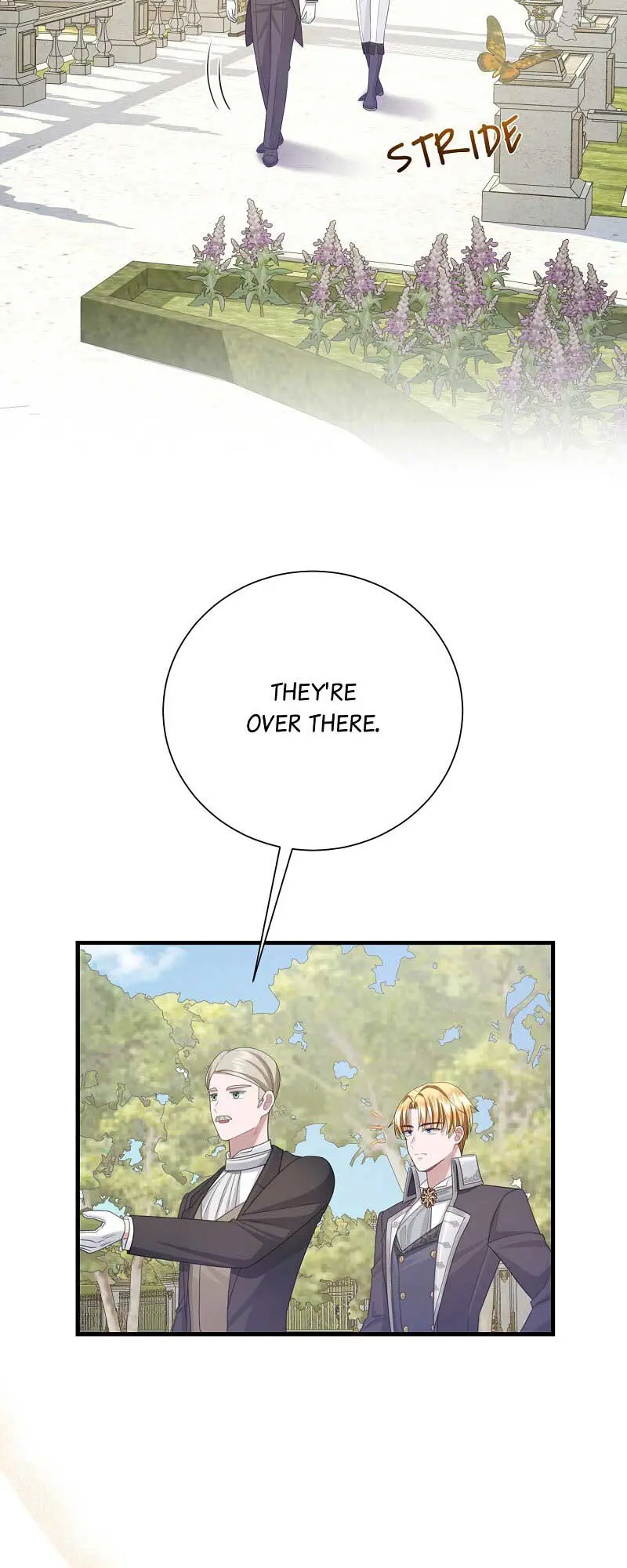 Read When Cinderella