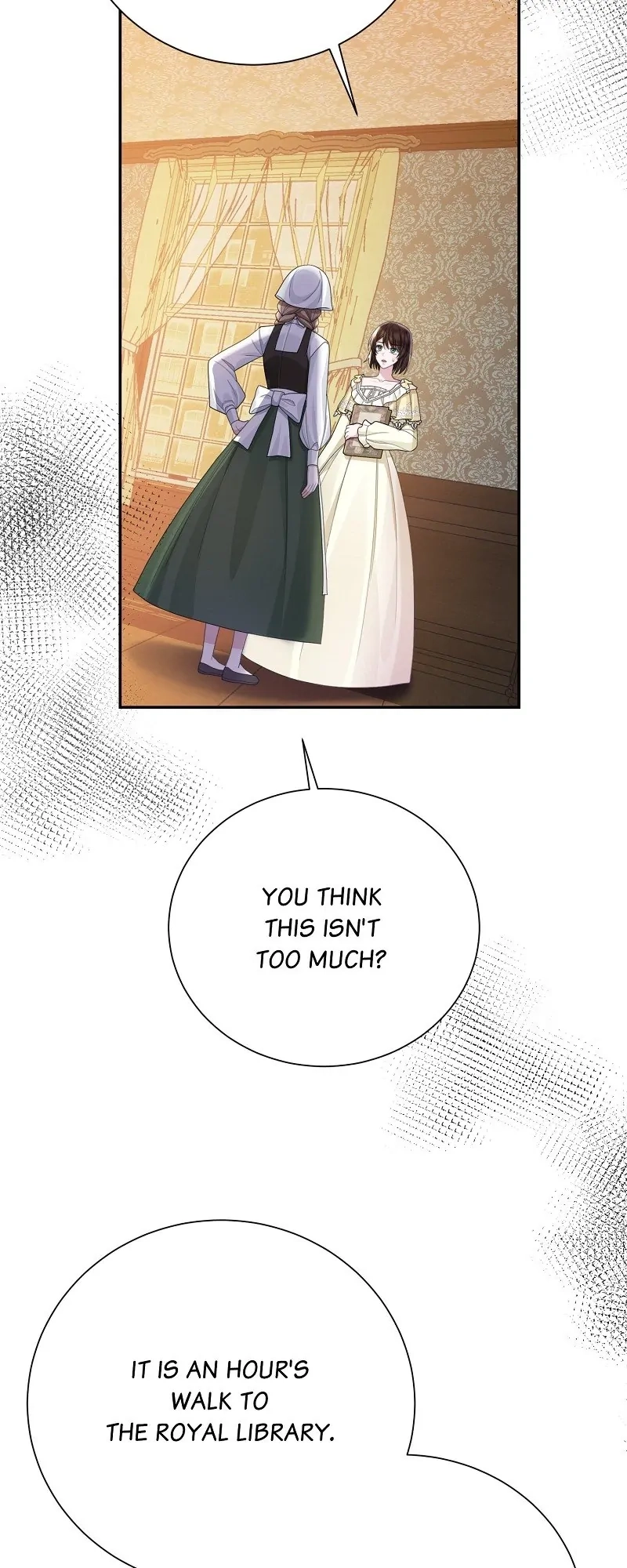 Read When Cinderella