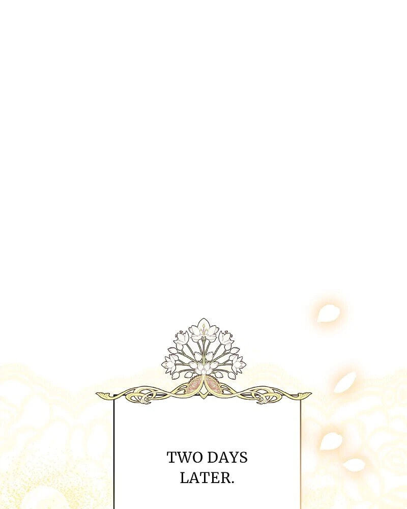 Read When Cinderella