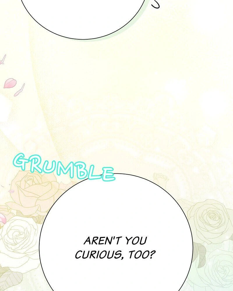 Read When Cinderella